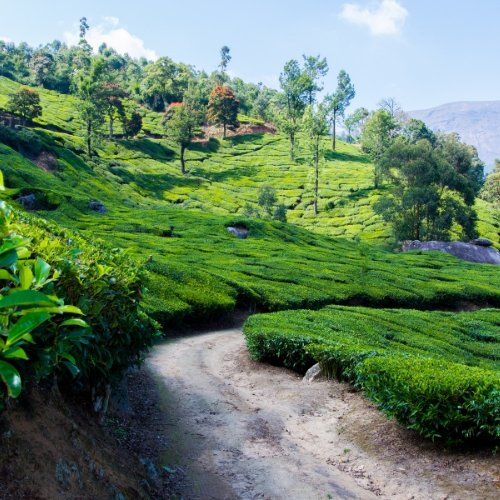 Wayanad image