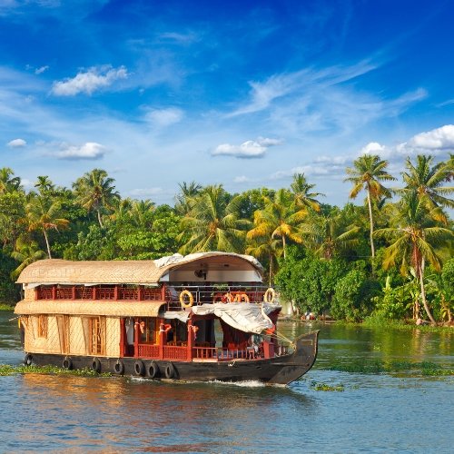 Alleppey image